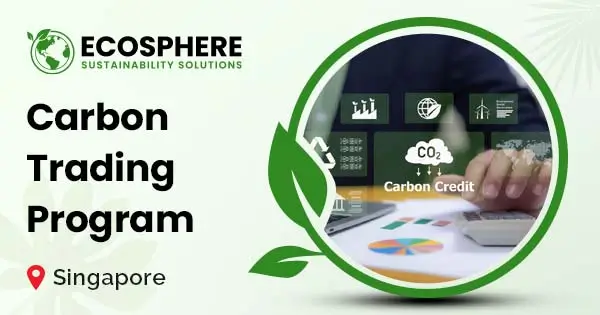 Carbon trading advisory services in Singapore