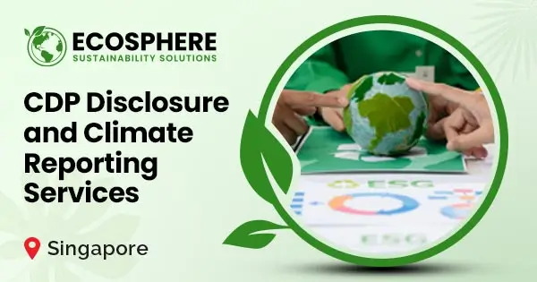CDP Disclosure and Climate Reporting Services in Singapore
