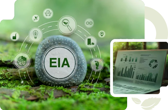 Importance of Environmental Impact Assessment EIA