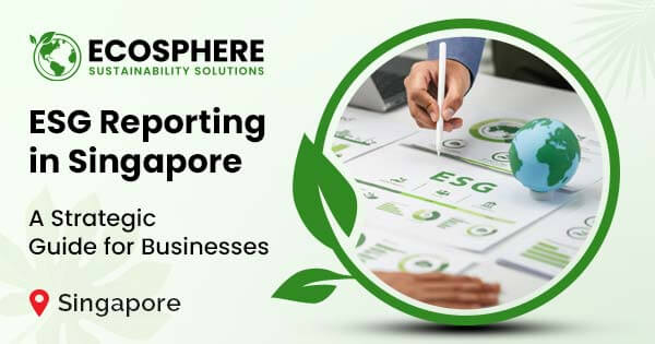 ESG reporting in Singapore: A strategic guide for businesses