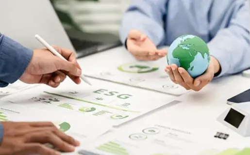 ESG strategy development