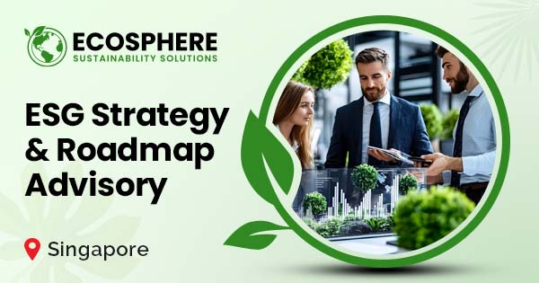 ESG Strategy & Reporting Advisory Singapore | EcoSphere Sustainability ...