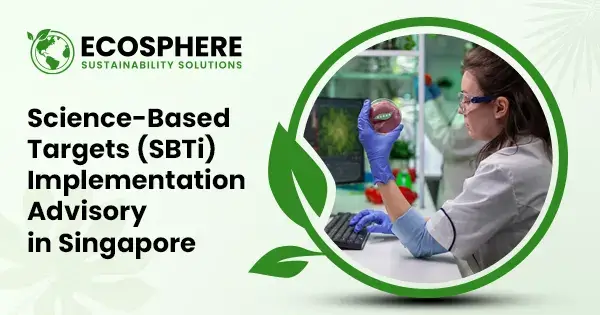 SBTi Implementation Consultant in Singapore